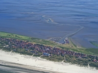 Bild 1 von Bei Ebbe offenbart das Wattenmeer seine Geheimnisse