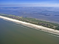 Bild 2 von Bei Ebbe offenbart das Wattenmeer seine Geheimnisse