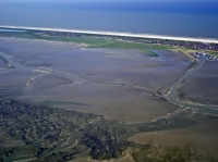 Bild 5 von Bei Ebbe offenbart das Wattenmeer seine Geheimnisse