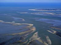 Bild 8 von Bei Ebbe offenbart das Wattenmeer seine Geheimnisse