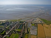 Bild 9 von Bei Ebbe offenbart das Wattenmeer seine Geheimnisse