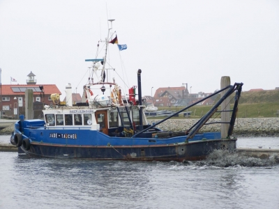 Bild 0 von Der "Jade-Taucher" bringt Bootshafen auf Tiefe