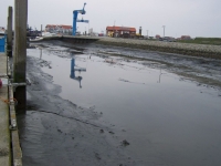 Bild 3 von Juister Bootshafen ist tief wie seit Jahren nicht mehr