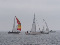 Bild 0 von Während der Regatta wird der Adenauer weggenommen