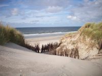 Bild 0 von Ausgezeichnete Wasserqualität am Juister Strand