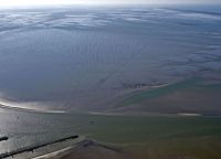 Bild 8 von Juister Wattenmeer obliegt weiterhin starken Veränderungen
