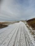 Bild 0 von Doch noch weiße Insel in diesem Winter