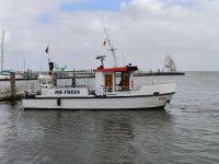 Bild 4 von Motorschiff „Freia“ will Angebot an Schiffsausflügen von Juist erweitern