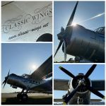 Bild 3 von Longest Day am Flugplatz Juist