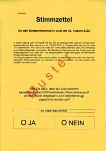 Bild 0 von Informationen zum Wahlzettel Bürgerbegehren