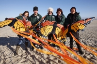 Bild 1 von NKL Insel-Hopper erkunden Juist, Baltrum und Norderney