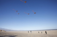 Bild 2 von NKL Insel-Hopper erkunden Juist, Baltrum und Norderney