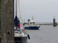 Bild 1 von Fünfzehn Boote und ein Wohnmobil gingen zum Absegeln nach Greetsiel