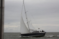 Bild 5 von Es wehte ein starker Wind bei diesjähriger Jubiläumsregatta