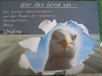 Bild 1 von Die forsche Möwe Undine sorgte für Juist-Buch der anderen Art