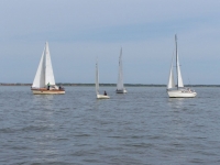 Bild 1 von Flaute bei diesjähriger Juist-Regatta