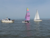 Bild 2 von Flaute bei diesjähriger Juist-Regatta