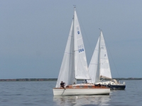 Bild 7 von Flaute bei diesjähriger Juist-Regatta