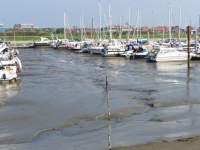 Bild 5 von Boots- und Fährhafen bereiten SKJ und Inselgemeinde große Sorgen
