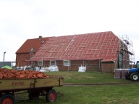 Bild 2 von Die 