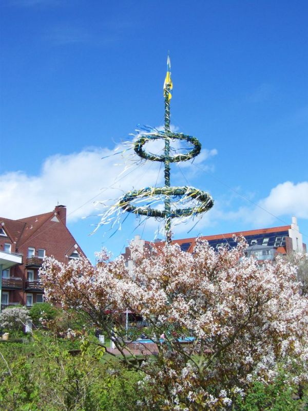 Heimatverein Stellt In Diesem Jahr Den Maibaum Auf