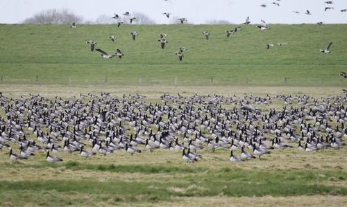 Bild 0 von Silvester: Weltnaturerbe ohne Knalleffekt