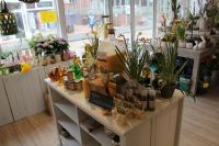 Bild 5 von Ehemalige Bäckerei Habbinga wurde jetzt zum Blumenmeer