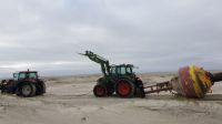 Bild 1 von Kardinaltonne wurde nach neun Wochen vom Strand geholt