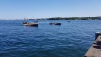 Bild 1 von Inselschule Juist beim Kutterregatta der Kieler Woche 2019