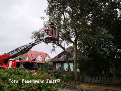 Bild 0 von Feuerwehr entfernte sicherheitshalber abgeknickte Äste