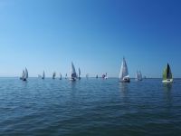 Bild 1 von Mehr Boote als in den Vorjahren bei Juister Regatta