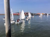 Bild 7 von Seglerjugend hat mit guter Stimmung der Flaute getrotzt