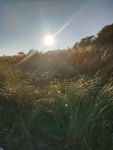 Bild 6 von Fotospaziergang bei wunderschönem Herbstwetter