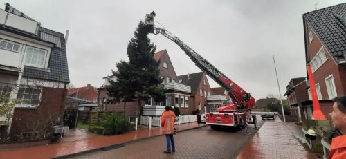 Bild 0 von Ein Juister Weihnachtsbaum steht auch auf dem Kurplatz