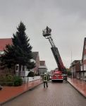 Bild 6 von Ein Juister Weihnachtsbaum steht auch auf dem Kurplatz