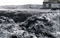 Bild 8 von JNN-RÜCKBLICK: Die schwere Sturmflut von 1962