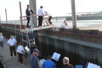 Bild 1 von Viele Zuhörer kamen zum Sandbank-Konzert an den Hafen