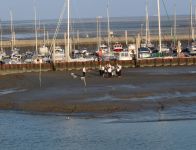 Bild 3 von Viele Zuhörer kamen zum Sandbank-Konzert an den Hafen