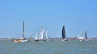 Bild 0 von Ergebnisse der 68. Regatta auf dem Juister Watt