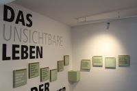 Bild 5 von INSELMUSEUM: Alles sollte bleiben wie es ist, aber anders werden