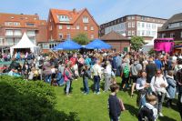 Bild 5 von Letztes Töwerland-Musikfestival in alter Form in diesem Jahr