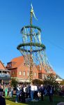 Bild 0 von Aufstellen des Maibaumes auf dem Kurplatz