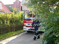 Bild 3 von Aktuelles von der Feuerwehr