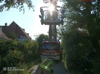 Bild 6 von Aktuelles von der Feuerwehr