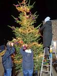Bild 0 von Feuerwehr konnte erstmalig eigenen Weihnachtsbaum aufstellen