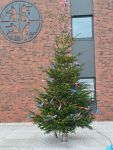 Bild 9 von Feuerwehr konnte erstmalig eigenen Weihnachtsbaum aufstellen