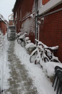 Bild 0 von JNN-Fototour: Unterwegs auf Juist im Schneesturm - Teil 2