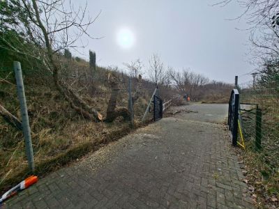 Bild 0 von Winterzeit ist Bauzeit: Erneuerung der Heckenanlage am Friedhof