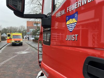 Bild 0 von Ende Februar gab es jeden Tag ein Einsatz für Feuerwehr