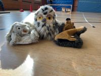 Bild 5 von Minisportabzeichen in der Turnhalle auf Juist